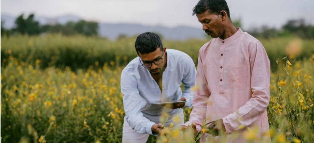 agriculture